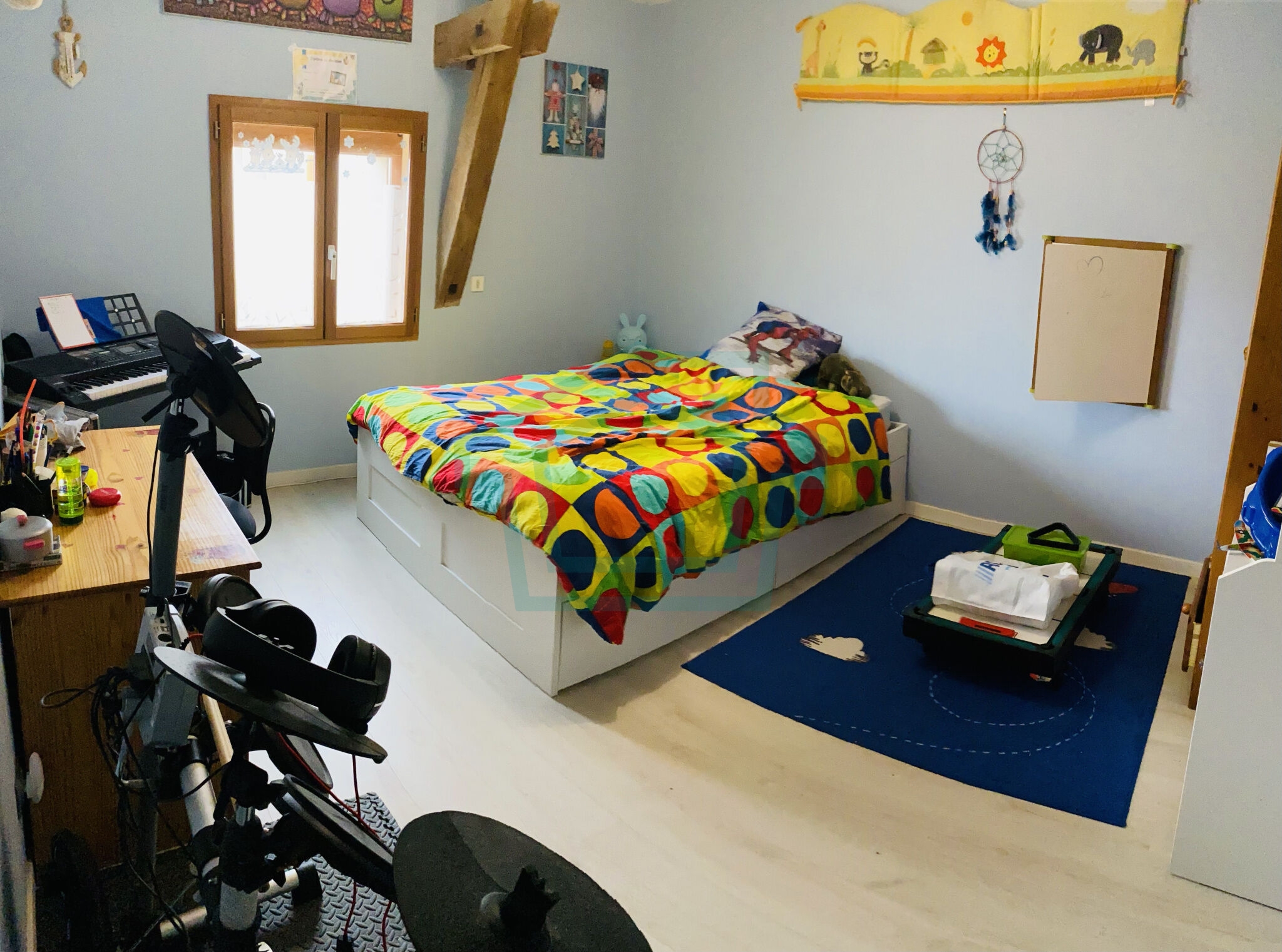 Photo 11