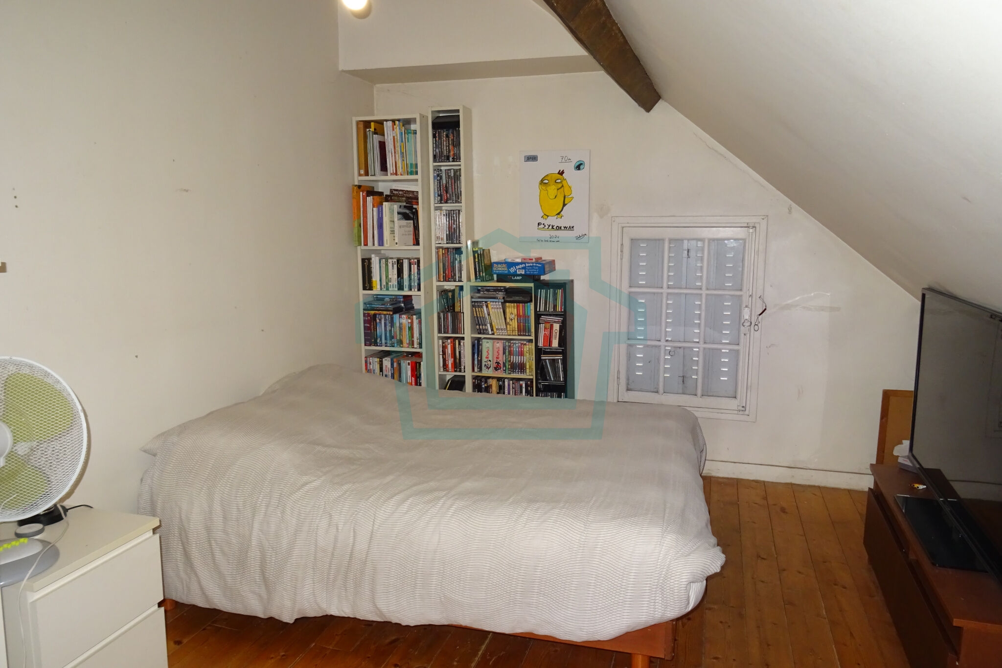 Photo 12