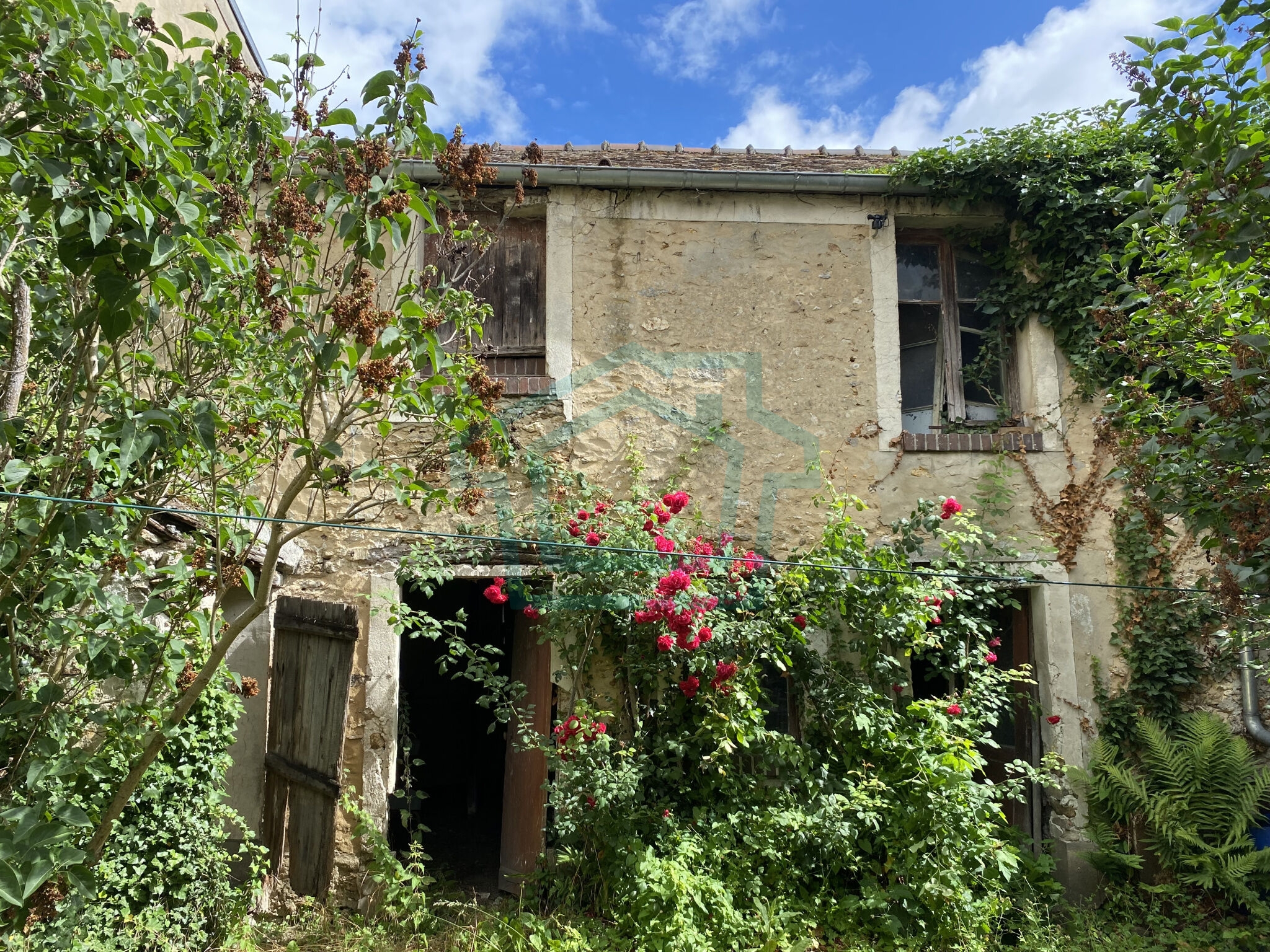 Photo 16