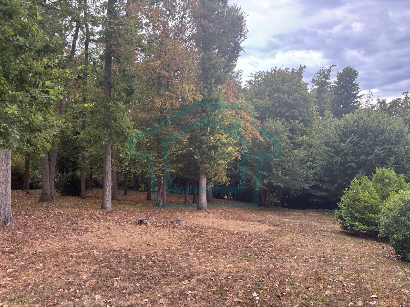 Photo 28